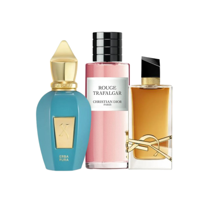 Set de Perfumes Femeninos - Noches Premium de Verano